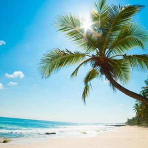 Meet your Posher, Louise